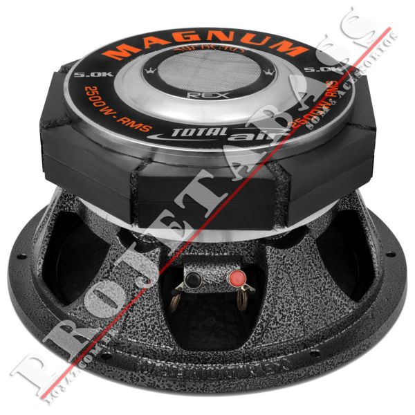 REX 12" 5k 2500wts RMS